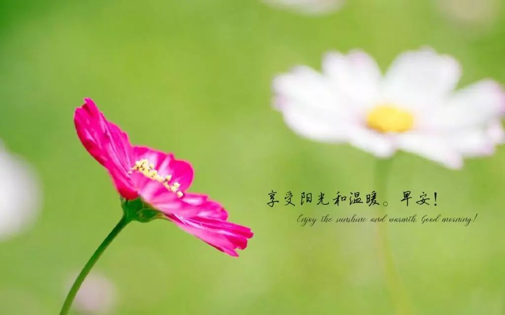 502d8d20d707fa2a972e611553077add_642a691c799f4c33a07a4c3bc4b77bad.jpeg