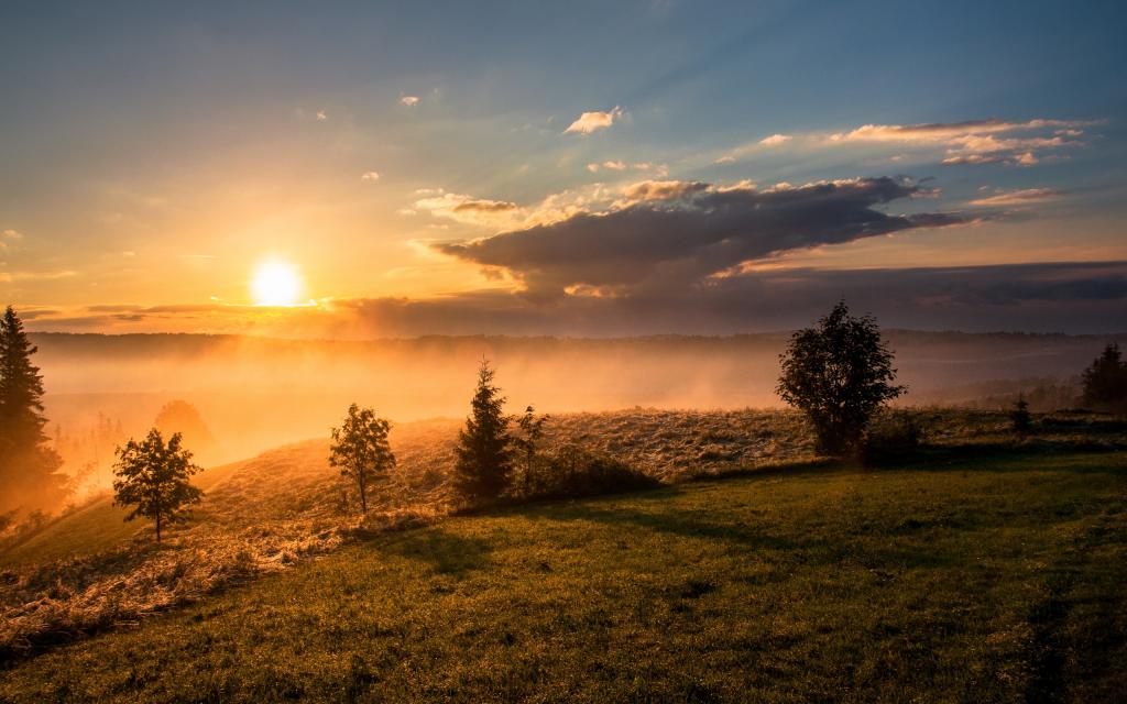 9592d0ce17751c2ba92bda79e2b4d1bd_bf707babc9b1cd89aa9da599facbf28d.jpg